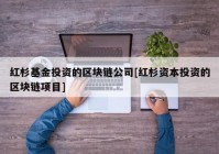 红杉基金投资的区块链公司[红杉资本投资的区块链项目]